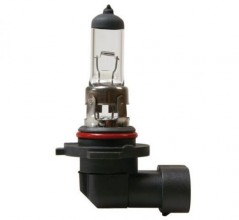 H12 Halogen Glhbirne 12V 53W PZ20D, 1 Stck im Blister